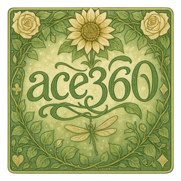 ace360 ইনস্টলেশন অনুমতি দেখানো ফোন